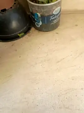 Jogandor777 online show from September 11, 2025, 1:33 pm