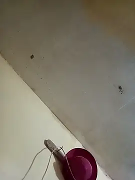 Snapshot of RandalHot chatting on November 27, 2025, 9:37 pm RandalHot online show from November 27, 2025, 9:37 pm