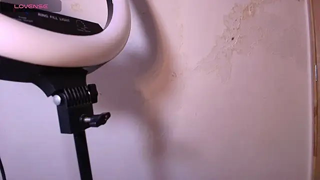 Snapshot of Terraelowen chatting on November 29, 2025, 11:32 am Terraelowen online show from November 29, 2025, 11:32 am