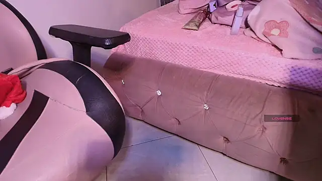 Snapshot of Terraelowen chatting on November 8, 2025, 11:47 am Terraelowen online show from November 8, 2025, 11:47 am