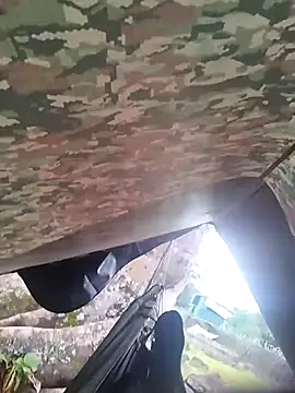 Alabestia12 online show from November 5, 2025, 9:18 pm