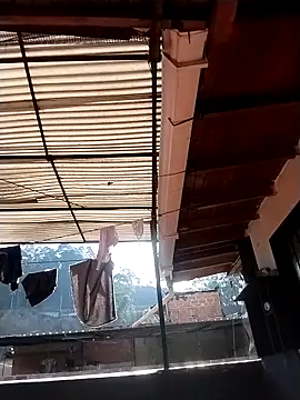 solpeich online show from March 20, 2026, 1:01 pm