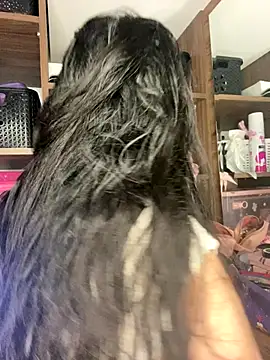 Snapshot of Sophi_dee1 chatting on November 3, 2025, 10:13 pm Sophi dee1 online show from November 3, 2025, 10:13 pm