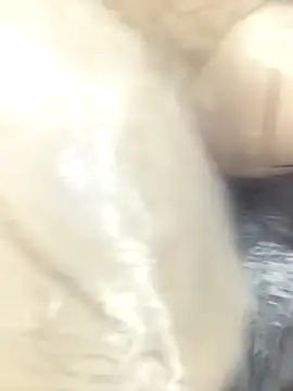 Marathi jiya1 online show from February 10, 2026, 5:17 am