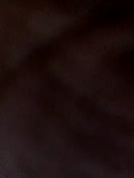 Snapshot of kaviyaponnu0987 chatting on December 4, 2025, 8:30 pm kaviyaponnu0987 online show from December 4, 2025, 8:30 pm