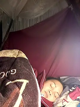 MaiHoa69 online show from January 15, 2026, 1:31 am