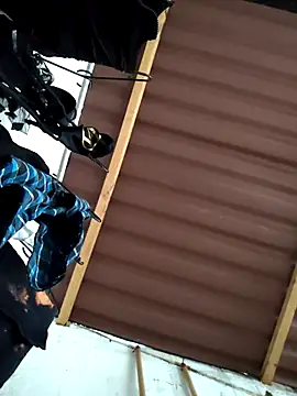 damian bull online show from November 24, 2025, 9:15 pm