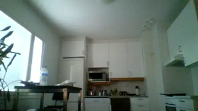 Silverhippo online show from May 20, 2026, 6:16 pm
