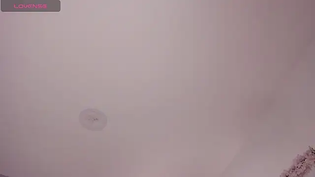 Laureen se online show from February 3, 2026, 2:53 am