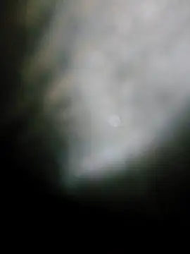 fena-sikerimmm online show from May 19, 2026, 10:06 pm