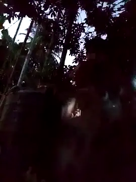 Johlrd online show from December 5, 2025, 11:31 am