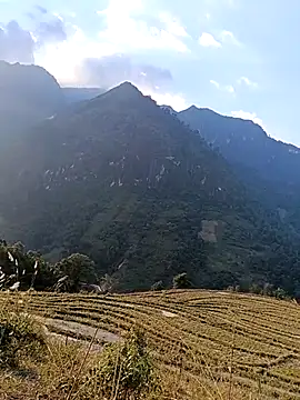 Snapshot of MuiNay chatting on November 24, 2025, 9:09 am MuiNay online show from November 24, 2025, 9:09 am