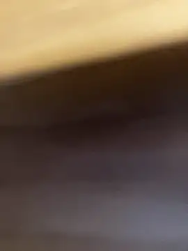 StableQuakers online show from March 30, 2026, 2:40 pm