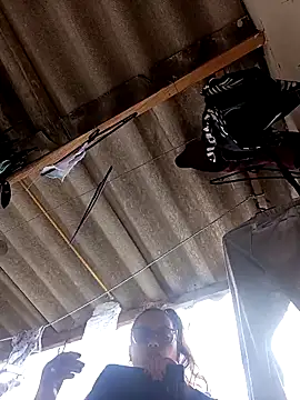 Lady 16 online show from November 8, 2025, 4:54 pm