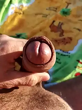 Snapshot of pegaso369 chatting on November 3, 2025, 2:53 pm pegaso369 online show from November 3, 2025, 2:53 pm