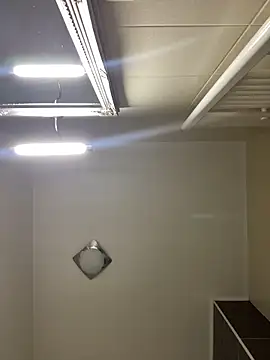 Lexi Storm online show from March 2, 2026, 6:14 am