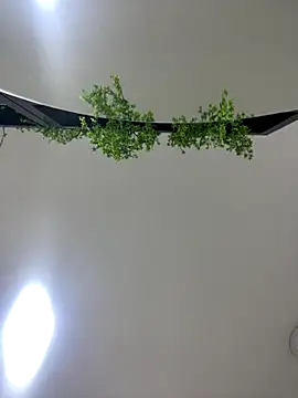 Snapshot of CharlotteBrownn_ chatting on October 25, 2025, 3:17 am CharlotteBrownn online show from October 25, 2025, 3:17 am