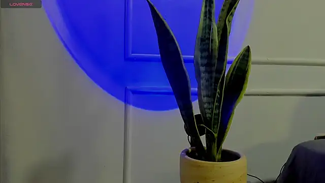 Snapshot of Ice_Princess_ chatting on October 2, 2025, 4:38 am Ice Princess online show from October 2, 2025, 4:38 am