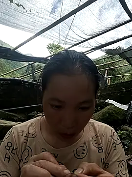 Tamy 20 online show from October 16, 2025, 8:11 am