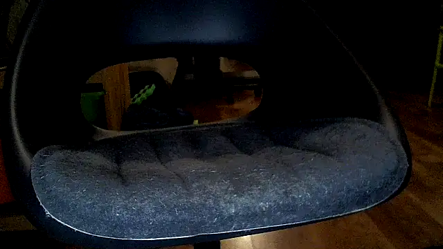 TobyDick13 online show from January 17, 2026, 11:30 pm