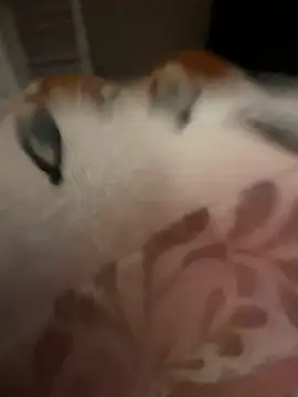 Snapshot of rockey118367 chatting on October 19, 2025, 9:45 am rockey118367 online show from October 19, 2025, 9:45 am