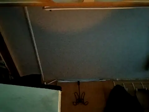 Snapshot of high3ndlowlife chatting on December 16, 2025, 5:50 pm high3ndlowlife online show from December 16, 2025, 5:50 pm