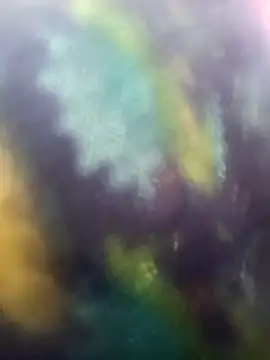 Snapshot of Juhi_chawla chatting on November 18, 2025, 9:01 am Juhi chawla online show from November 18, 2025, 9:01 am