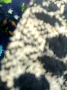 Snapshot of Juhi_chawla chatting on November 11, 2025, 1:44 am Juhi chawla online show from November 11, 2025, 1:44 am