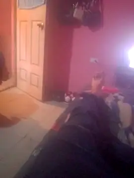 Snapshot of shessAz chatting on February 7, 2026, 3:09 pm shessAz online show from February 7, 2026, 3:09 pm