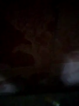 Snapshot of shessAz chatting on April 2, 2026, 11:17 am shessAz online show from April 2, 2026, 11:17 am