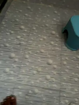 Snapshot of NoddingScorpion chatting on October 16, 2025, 3:26 am NoddingScorpion online show from October 16, 2025, 3:26 am