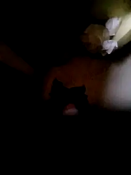 Vizgeboys online show from October 16, 2025, 12:52 am