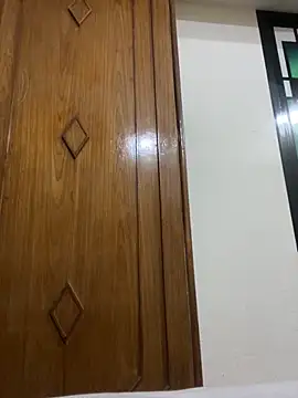 Snapshot of hamstar09 chatting on November 11, 2025, 6:03 pm hamstar09 online show from November 11, 2025, 6:03 pm