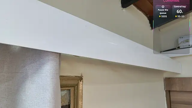 Snapshot of gemma_sm chatting on November 29, 2025, 3:17 am gemma sm online show from November 29, 2025, 3:17 am