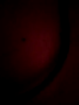 Snapshot of Nusrat-Q chatting on October 2, 2025, 6:06 am Nusrat-Q online show from October 2, 2025, 6:06 am