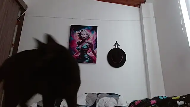 Crystal Star  online show from March 7, 2026, 12:54 pm