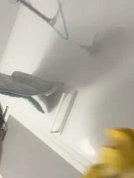 hiromu53 online show from December 5, 2025, 12:15 pm