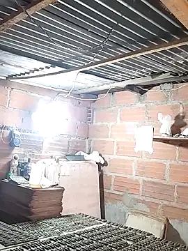 hoteder online show from December 18, 2025, 12:42 pm