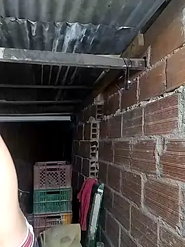 hoteder online show from February 12, 2026, 10:37 am