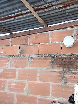 hoteder online show from January 17, 2026, 3:15 pm