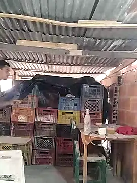 hoteder online show from March 24, 2026, 12:38 pm