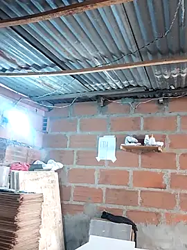 hoteder online show from December 17, 2025, 1:27 pm