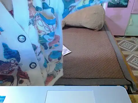 Snapshot of ahoa_Tk chatting on November 4, 2025, 2:37 am ahoa Tk online show from November 4, 2025, 2:37 am