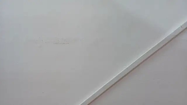 Snapshot of Lizbeth_Rouse chatting on October 26, 2025, 1:00 pm Lizbeth Rouse online show from October 26, 2025, 1:00 pm