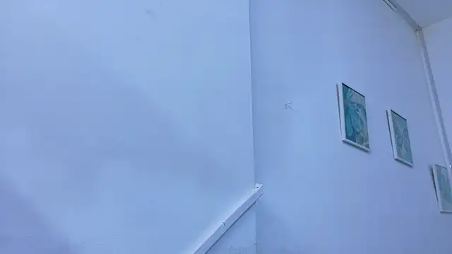 Snapshot of Lizbeth_Rouse chatting on November 10, 2025, 11:37 am Lizbeth Rouse online show from November 10, 2025, 11:37 am