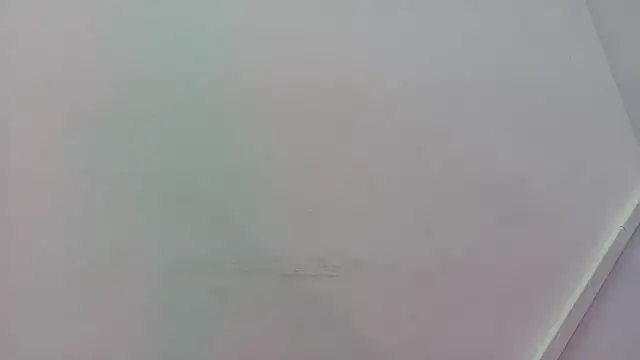 Snapshot of Lizbeth_Rouse chatting on November 21, 2025, 11:31 am Lizbeth Rouse online show from November 21, 2025, 11:31 am