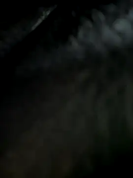  JessyRey  online show from September 11, 2025, 6:46 am