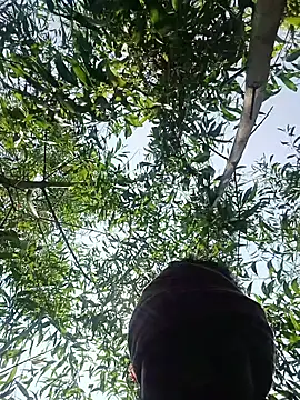 96Rohon online show from March 27, 2026, 6:22 am