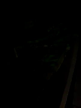 sr dias online show from November 13, 2025, 8:51 am