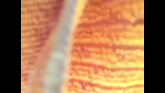 Snapshot of Goddes_any chatting on October 27, 2025, 11:38 pm Goddes any online show from October 27, 2025, 11:38 pm